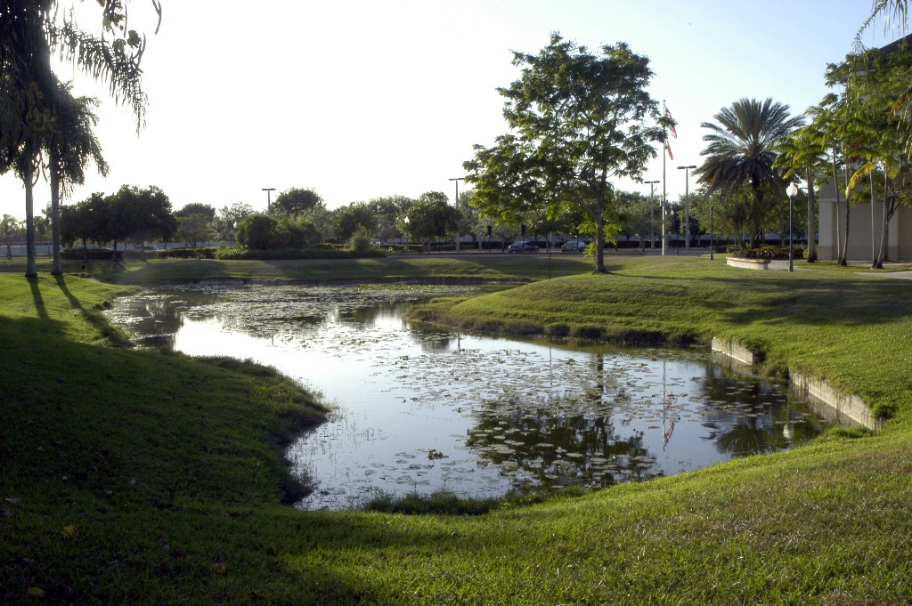 Library_pond_entry