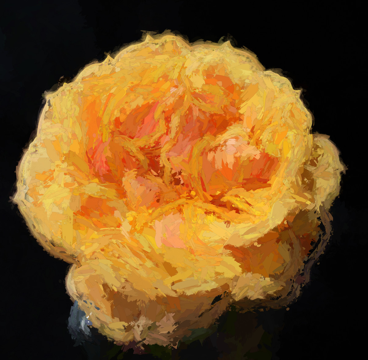 Orange Rose 2-1