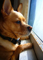 I want to go out 