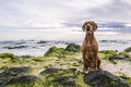 Mornings on the Beach