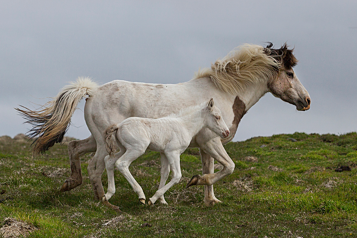 Mother´s Running Lesson 