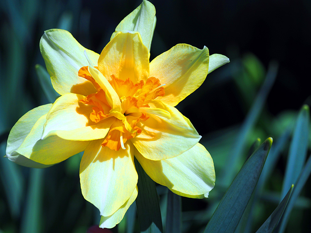 Springtime