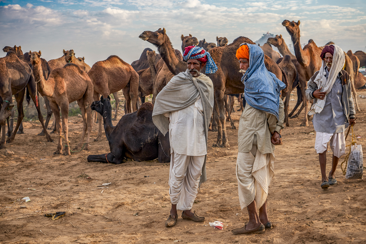 Pushkar Camel Fair