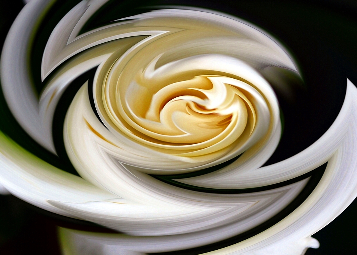 Buttercream Dream