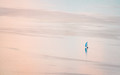 When isolation is a dream come true