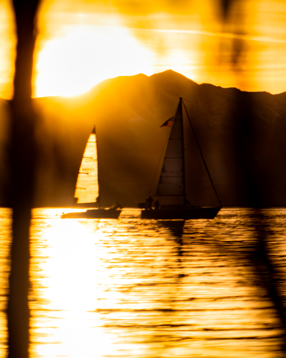 Evening Sails