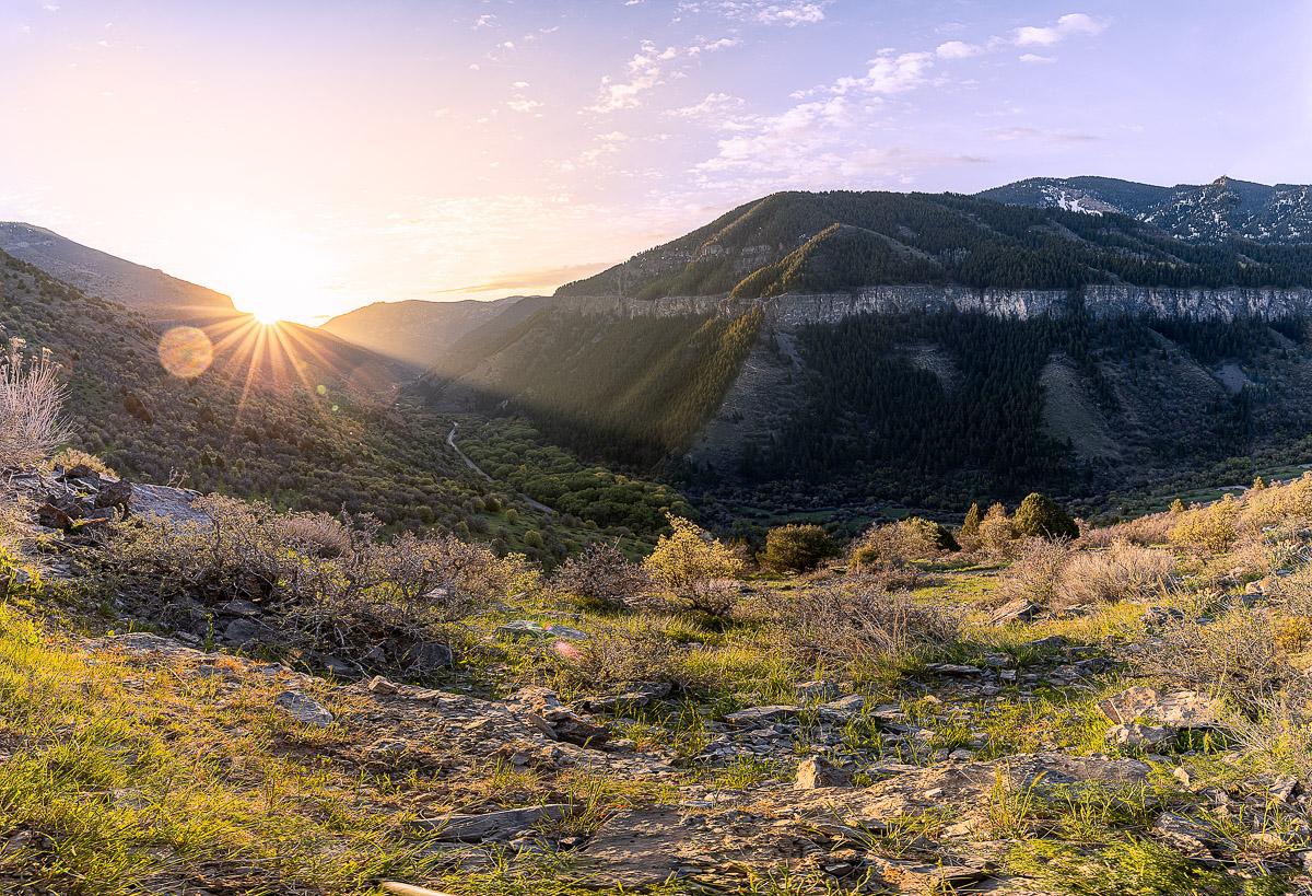 Morning Light