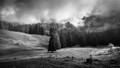 Luminous landscape
