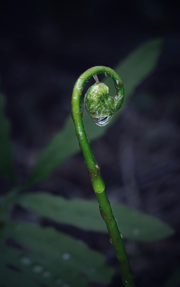 Catching the last April shower