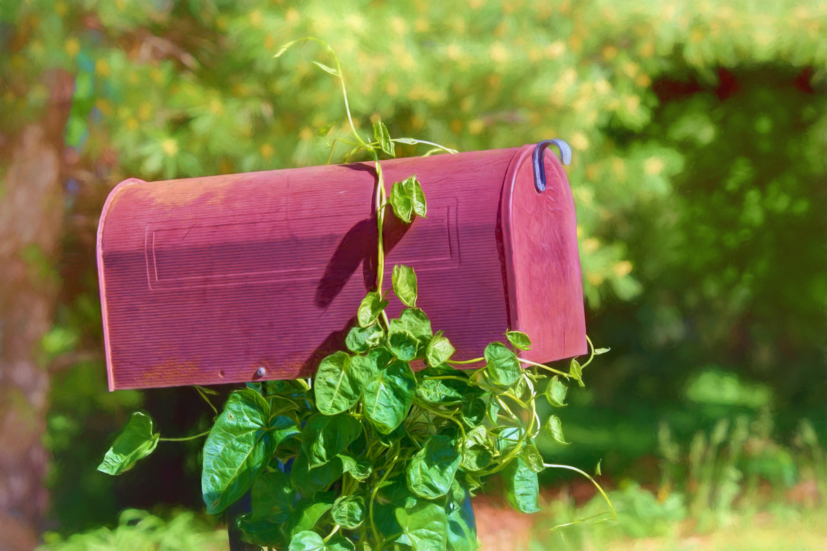 Snail Mail Brings Smiles