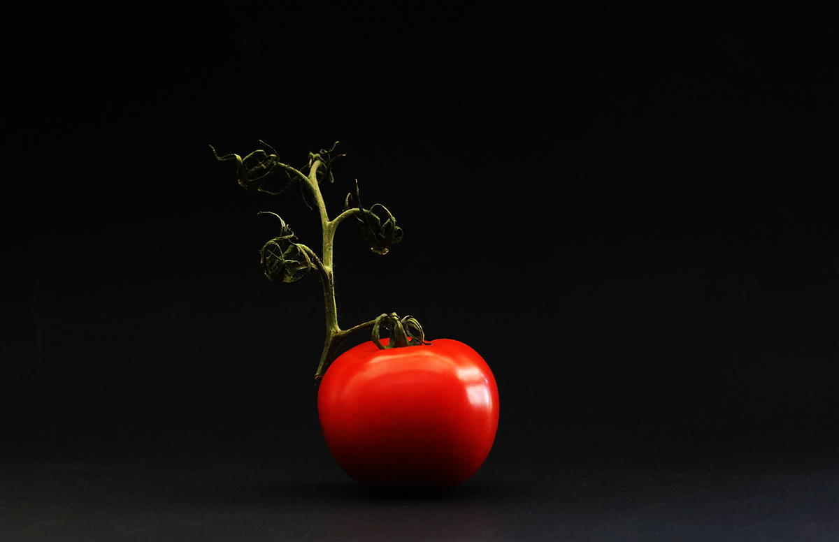 tomato