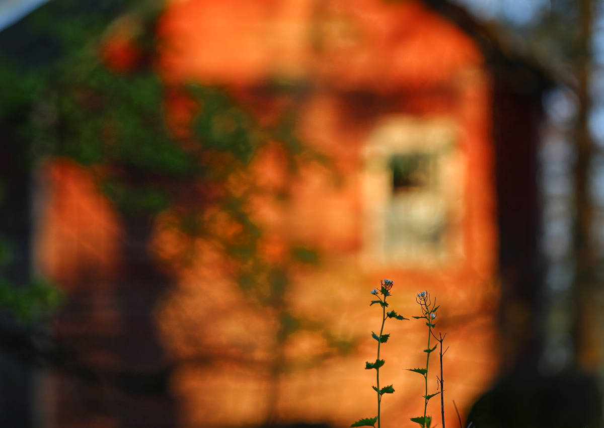 A Light exists in Spring