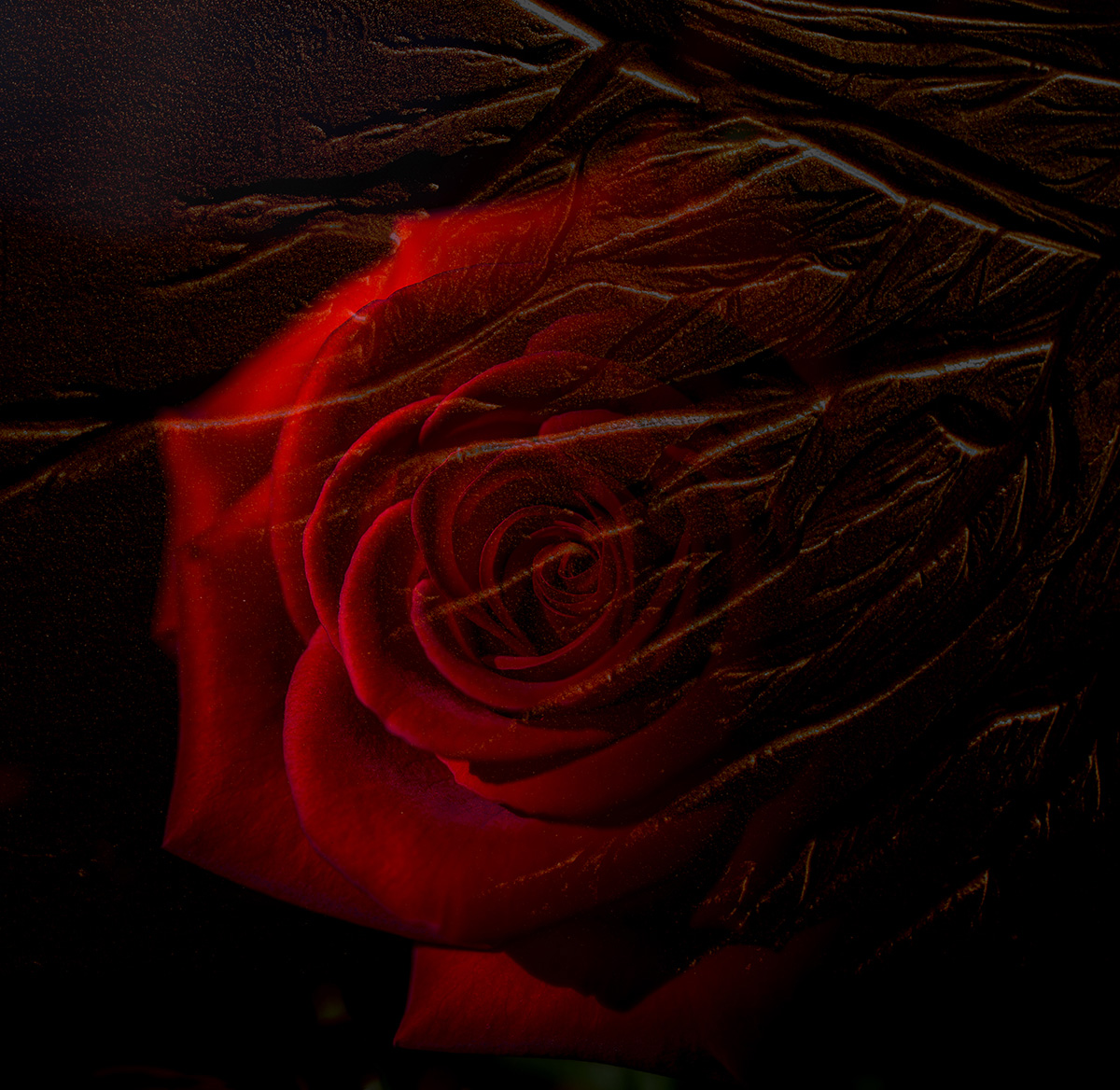 Shifting Emotions cropped