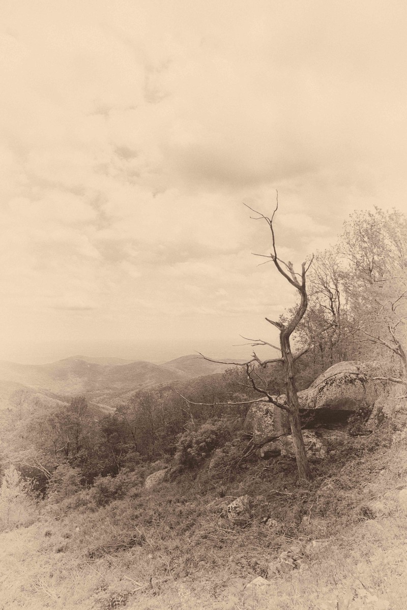 Blue Ridge Parkway