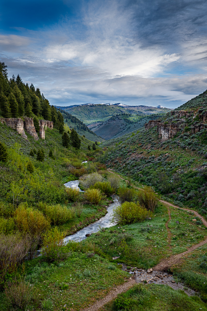 The Mountain Stream