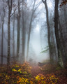 Passage to Fairyland