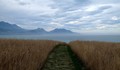 The Path to the Ocean