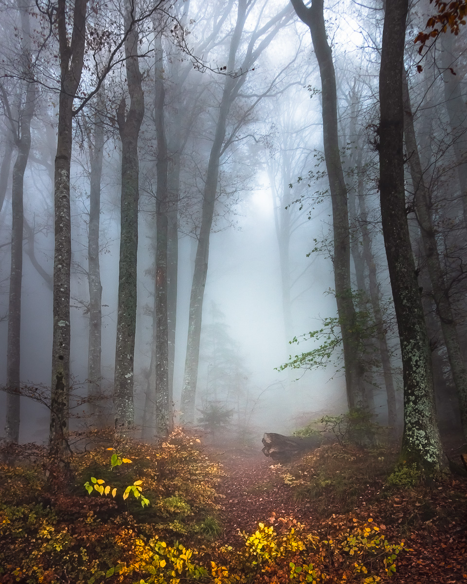 Passage to Fairyland