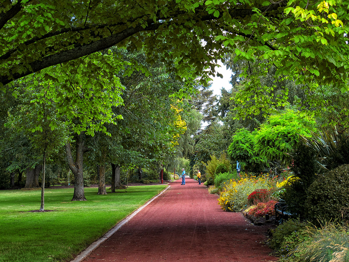 In the Gardens