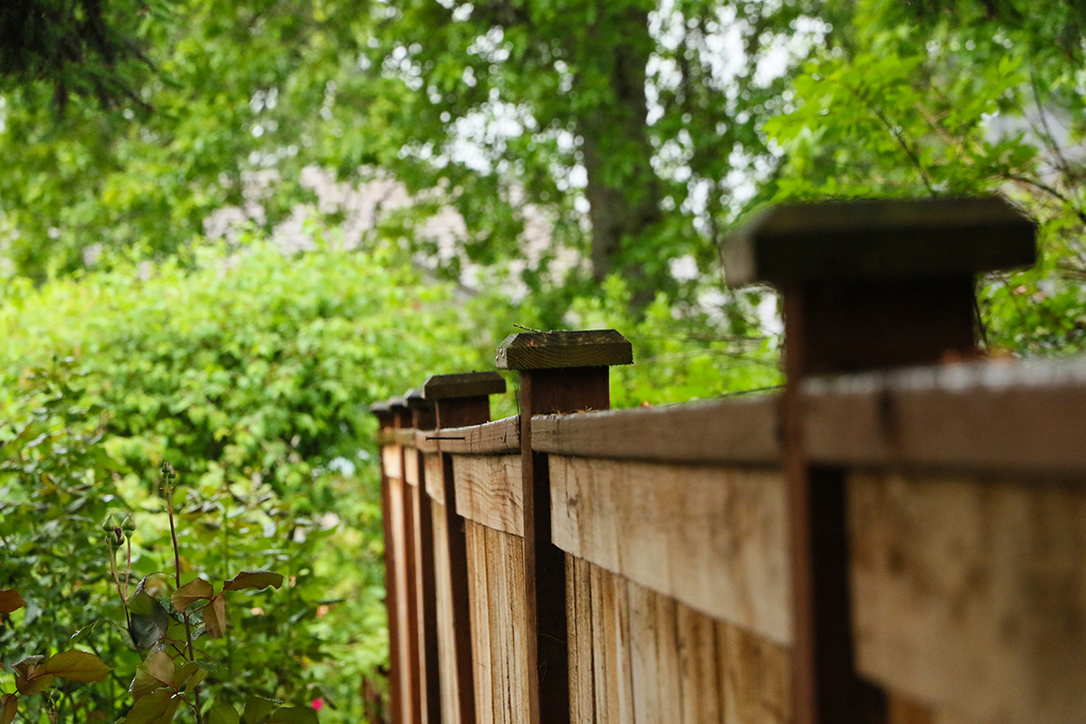 Fence Post V