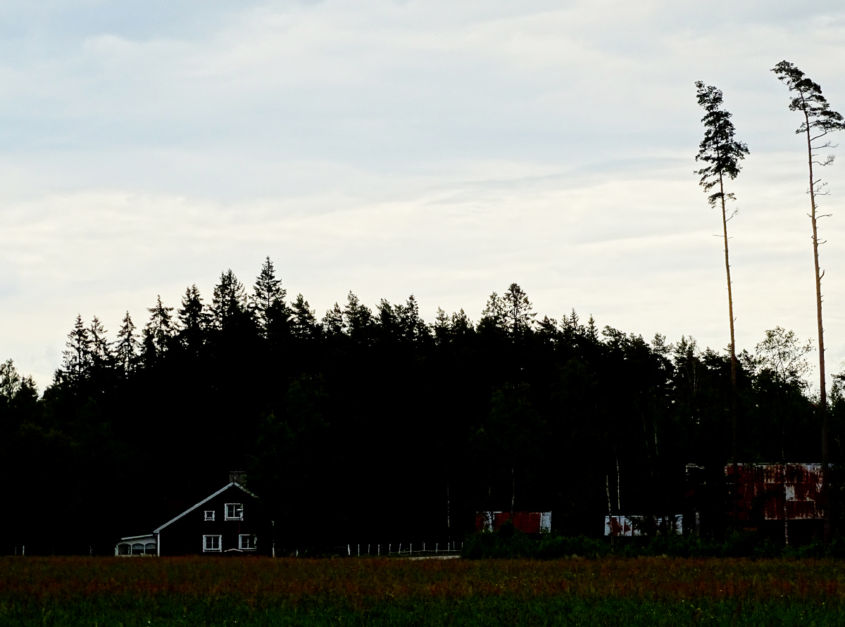 Our summer house in Twilight 