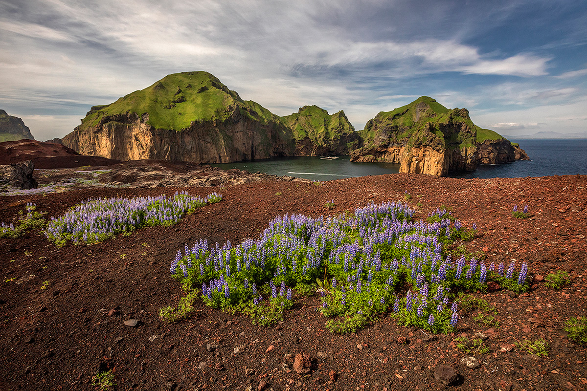 Vestman Islands