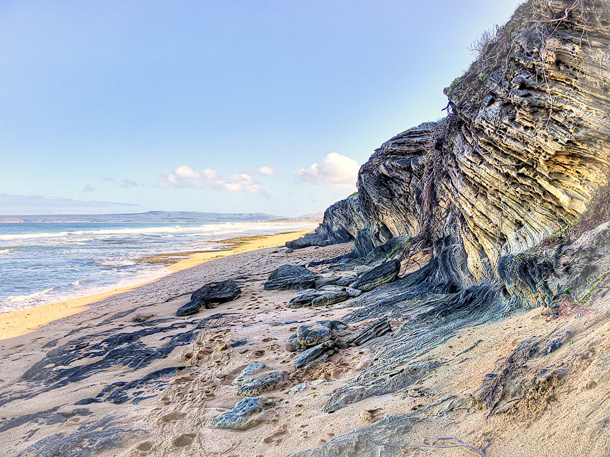 Beach Scape