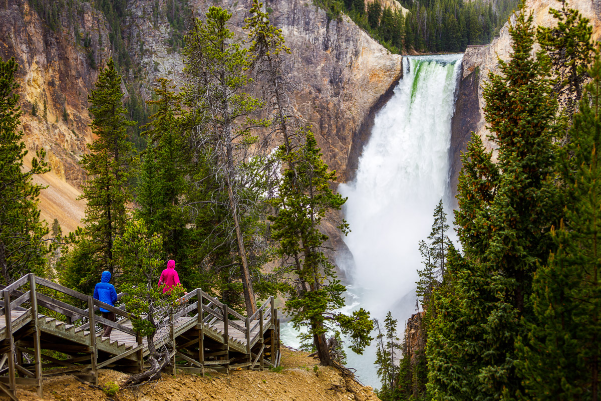 Misty Falls