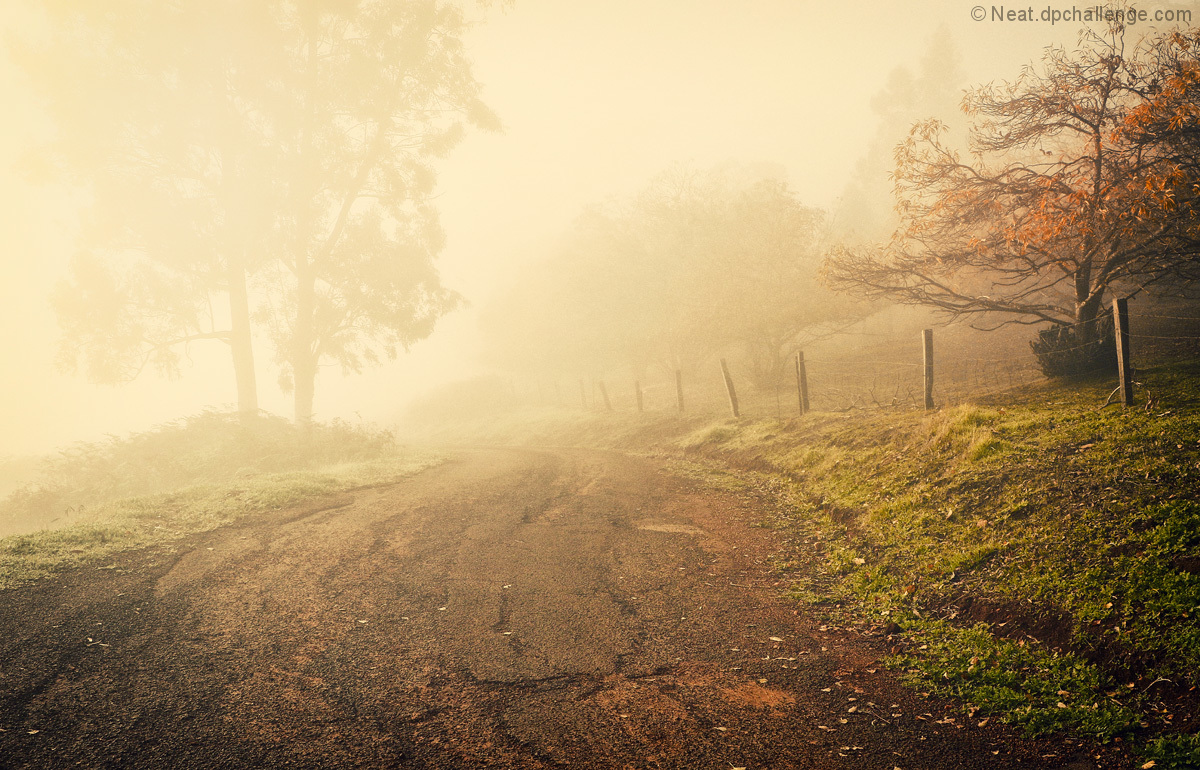 Morning of dense fog