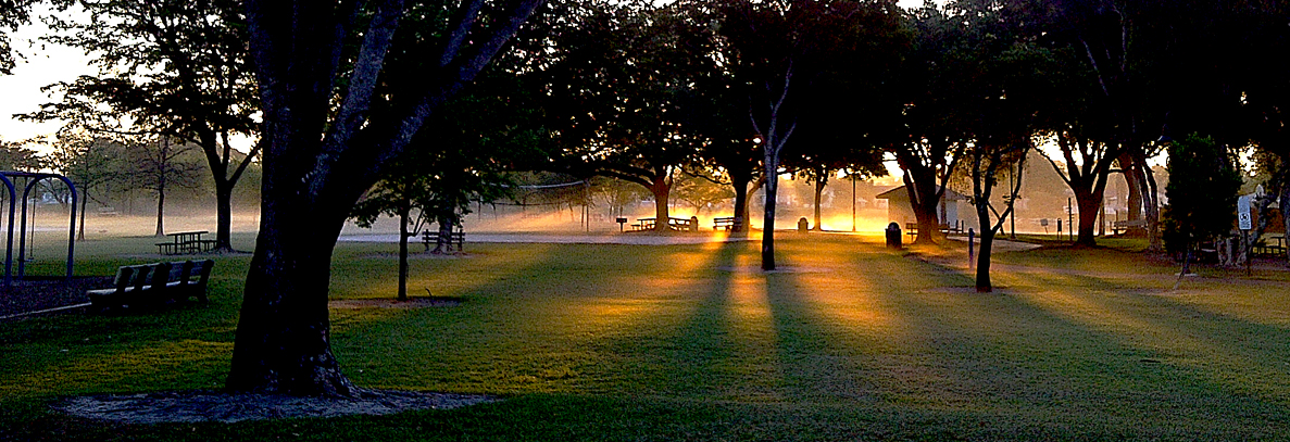 Sunrise in the Park