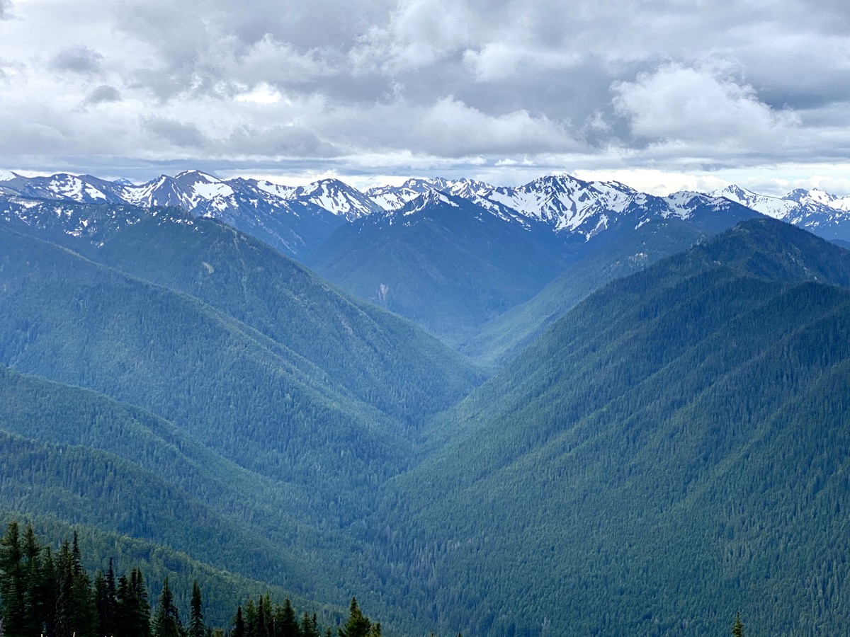 Mist in the Valley 