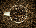 Cup of Joe