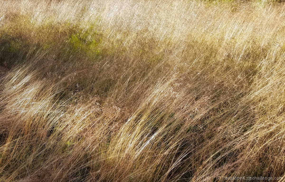 Masses of Grasses