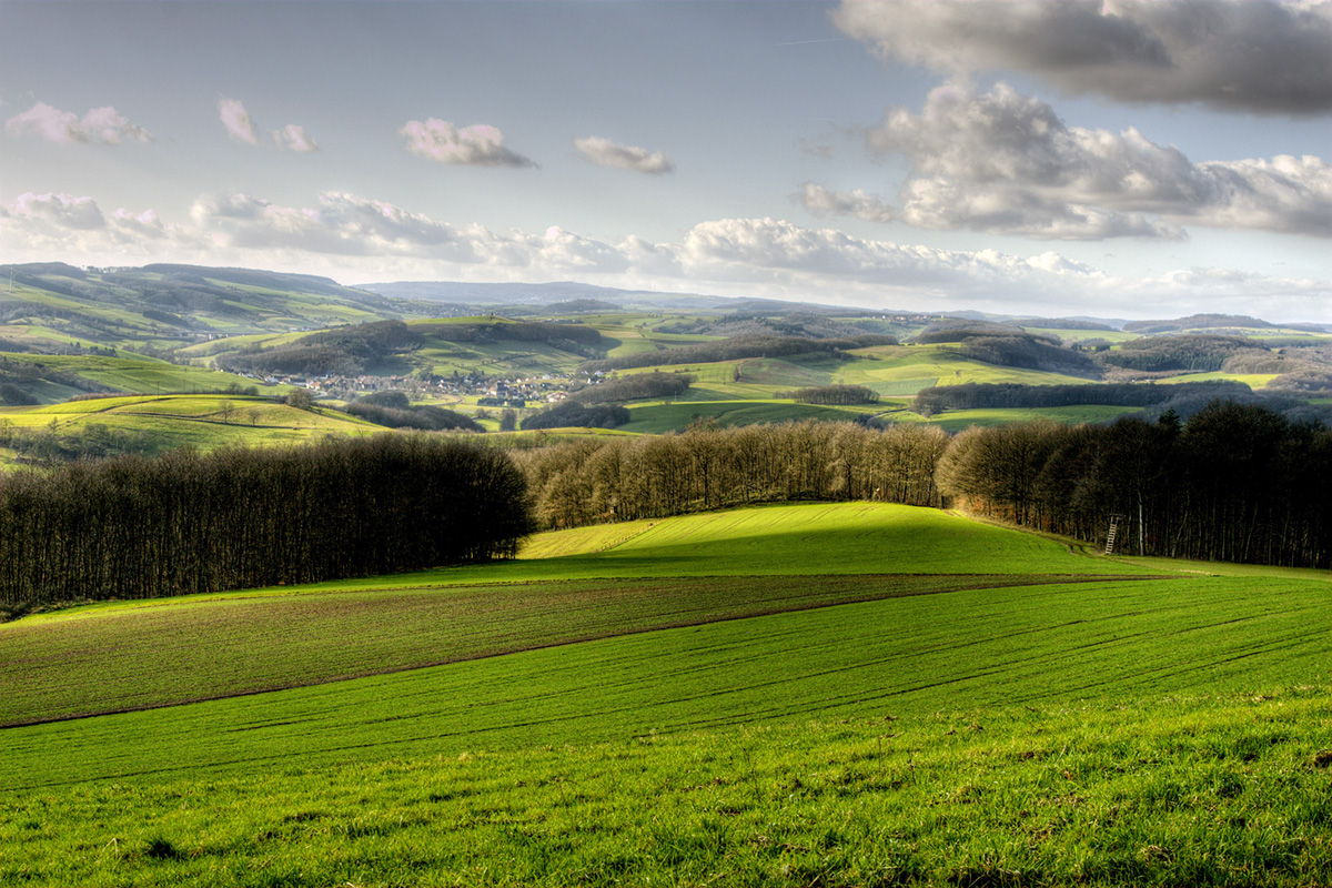 Countryside