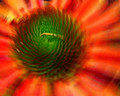 I am spinning - I'm so dizzy