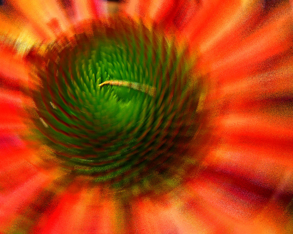 I am spinning - I'm so dizzy