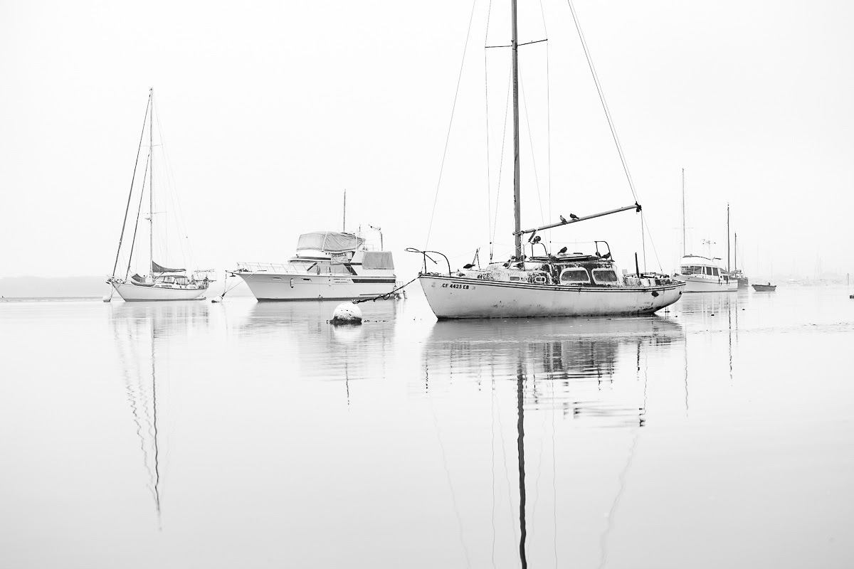 Boats and Fog