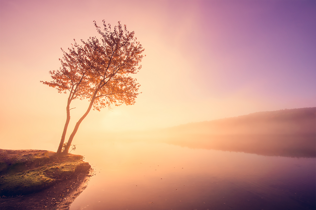 Impression, Sunrise