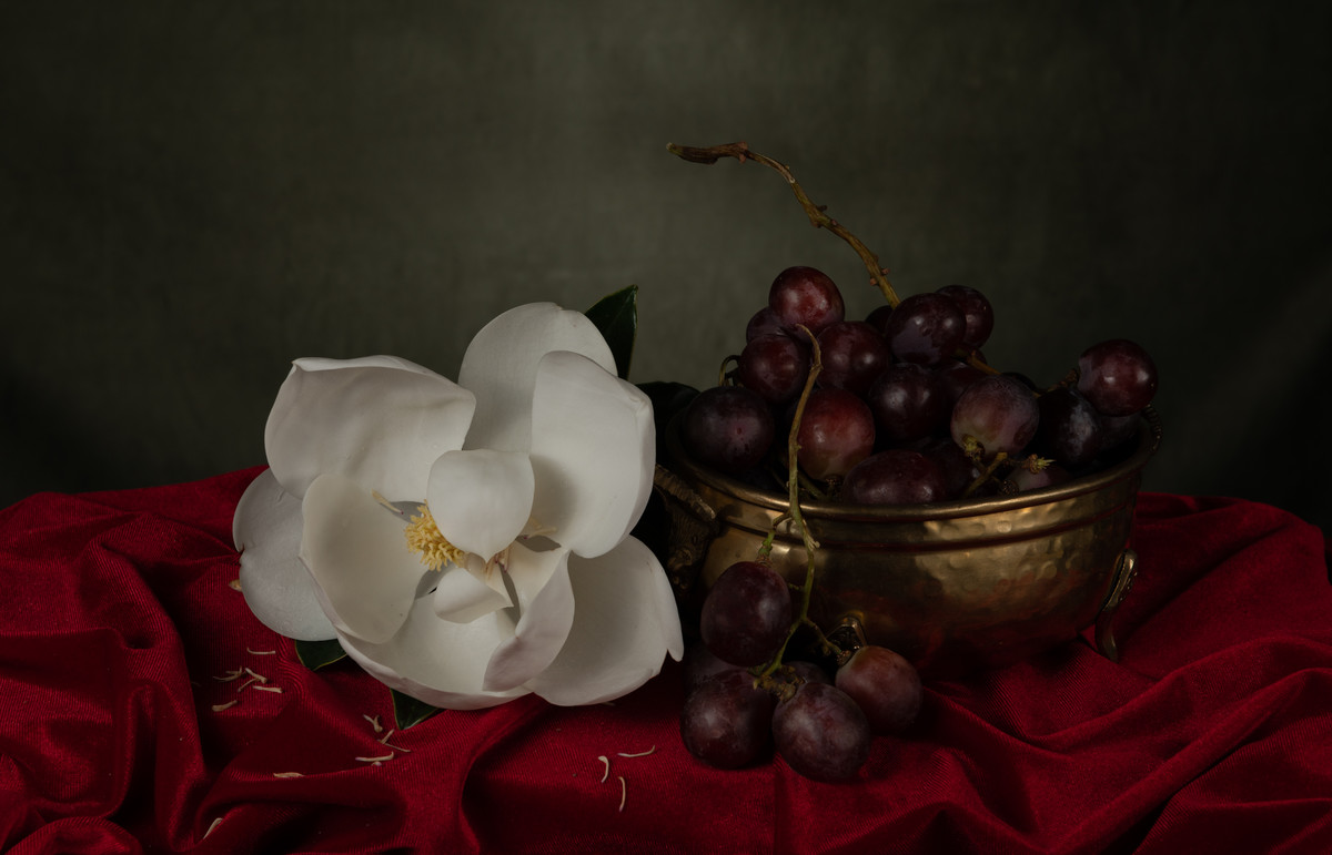 Painterly Magnolia and Grapes