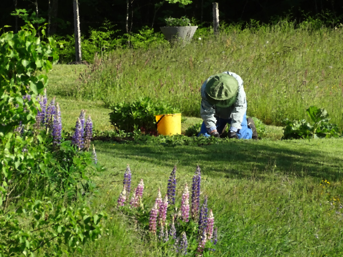 Gardening