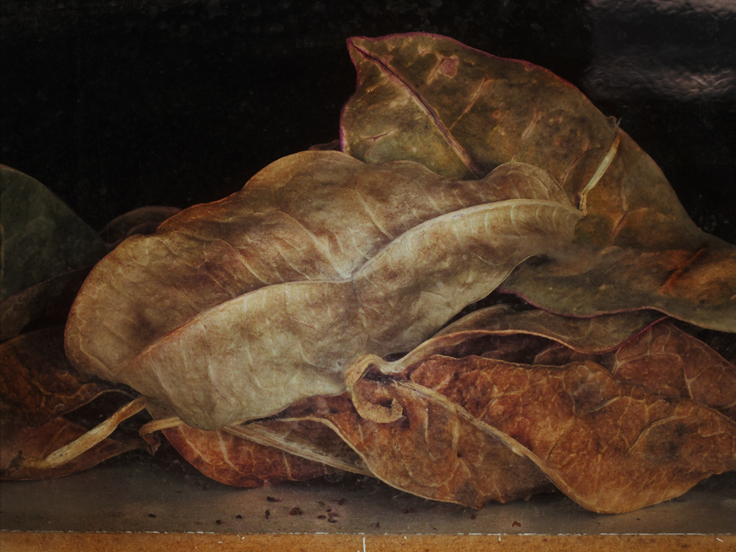 Still Life with Leaves