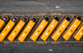 Buses Only
