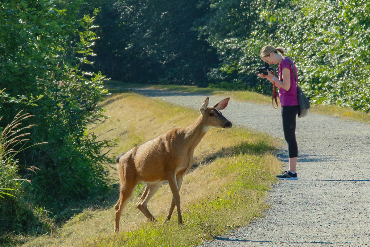 Nisqually National Wildlife Refuge