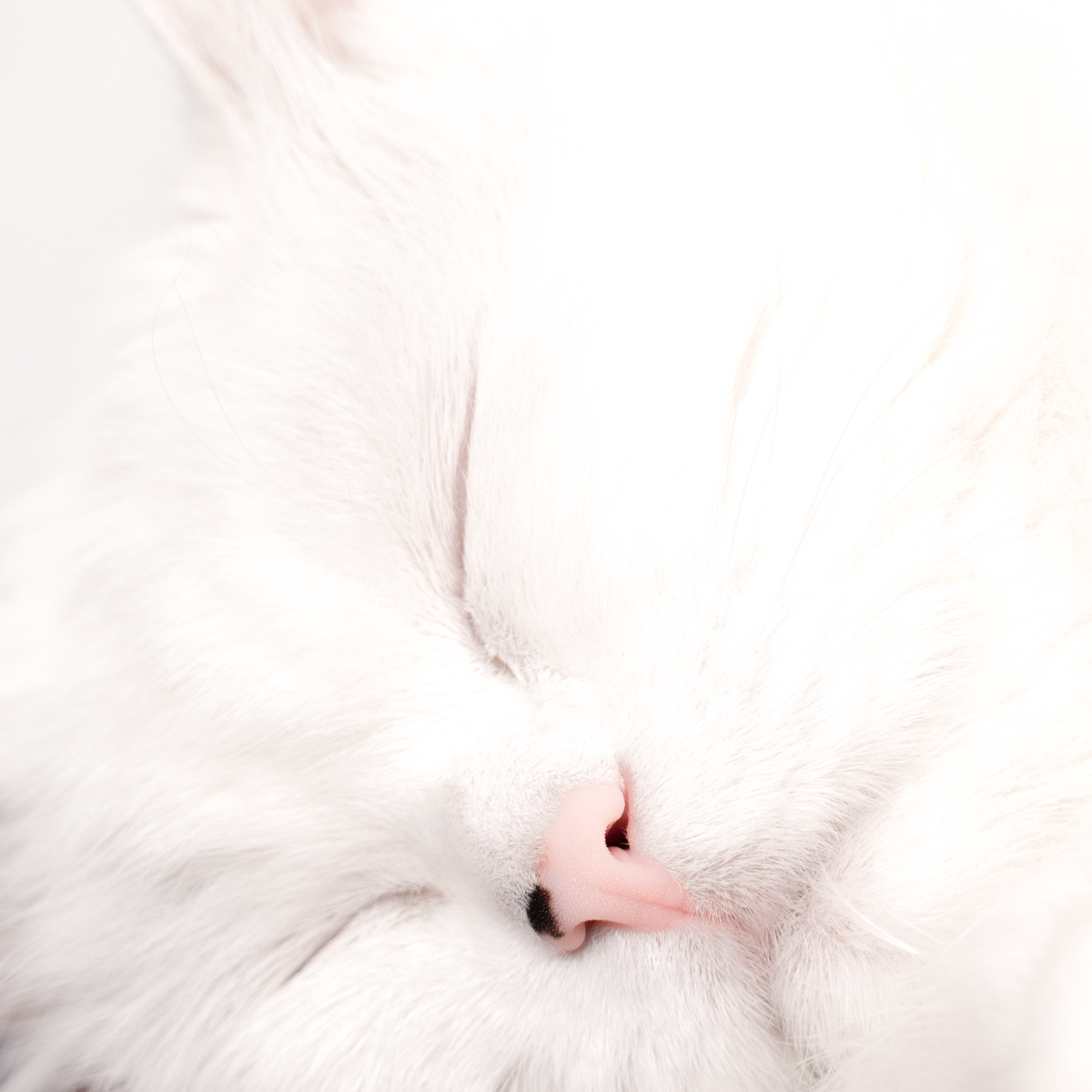 puff