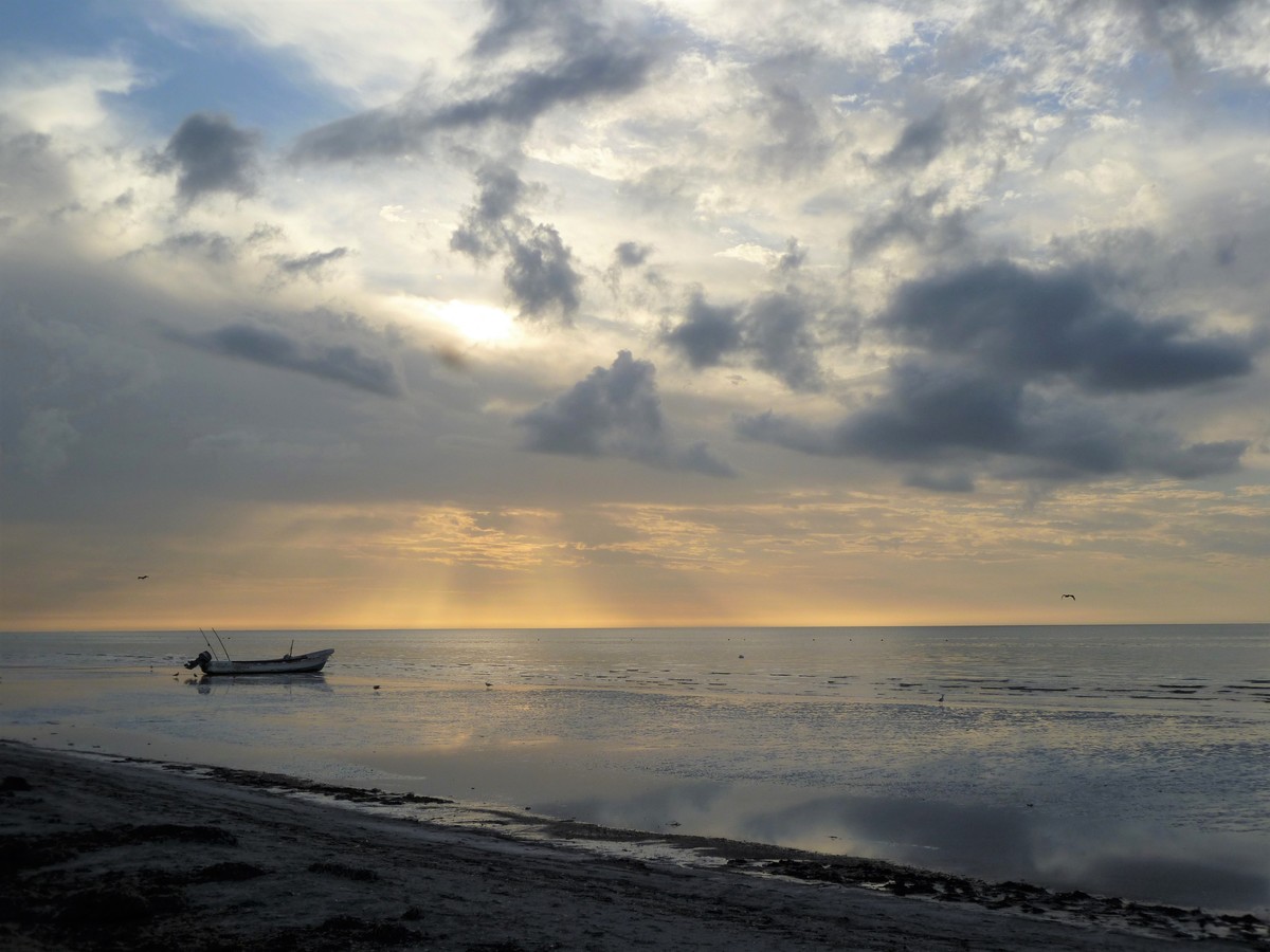 After the storm
