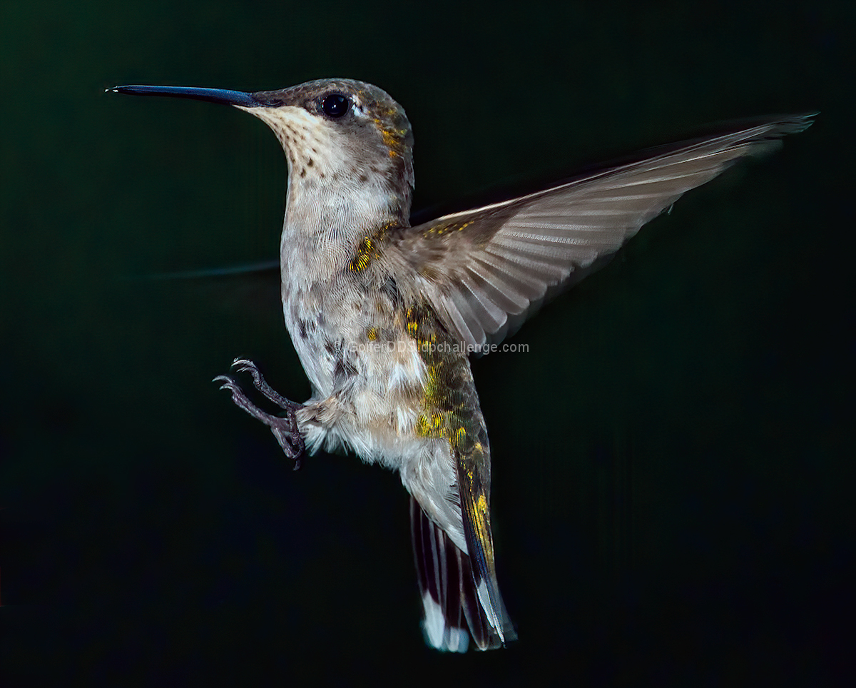 Landing