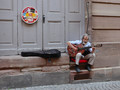 Street Musician