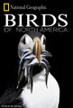 Birds of North America