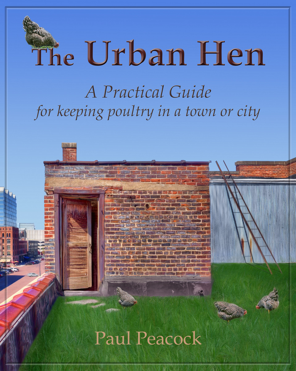 The Urban Hen