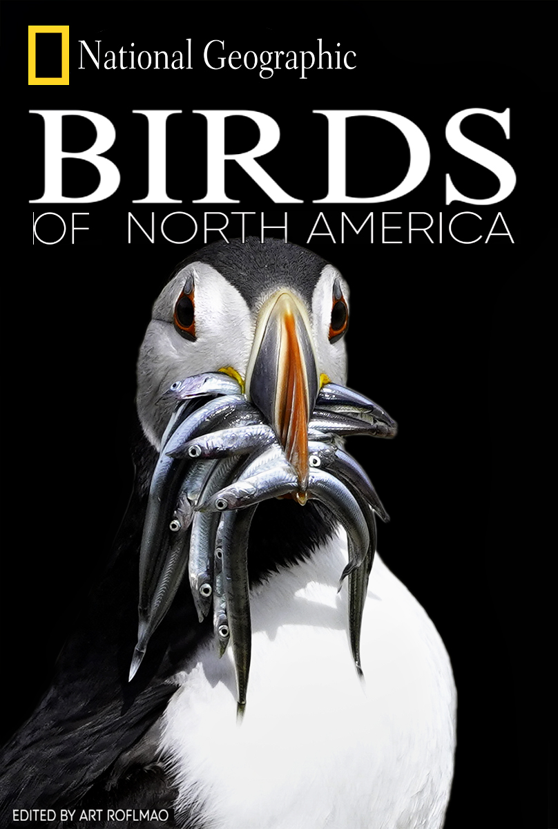 Birds of North America